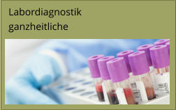 Labordiagnostik ganzheitliche