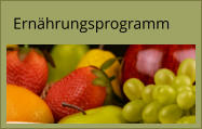 Ernährungsprogramm