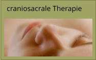 craniosacrale Therapie